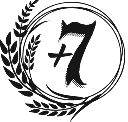 Plus 7